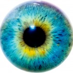 Eye I. By Thomas Tolkien